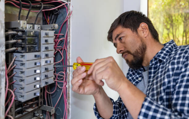 Best Electrical Rewiring Services  in Lansing, MI